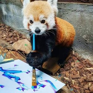 Meet your Posher, Katelyn